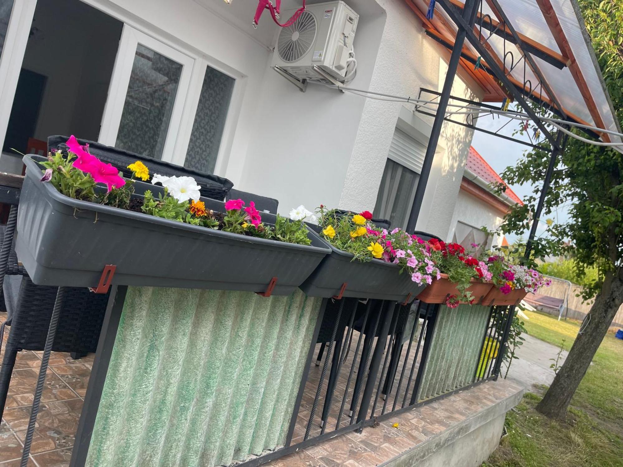 Valentina Apartman Balatonmáriafürdő Eksteriør bilde